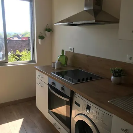 Cosy Hyper Centre Loulou At アパート Béthune